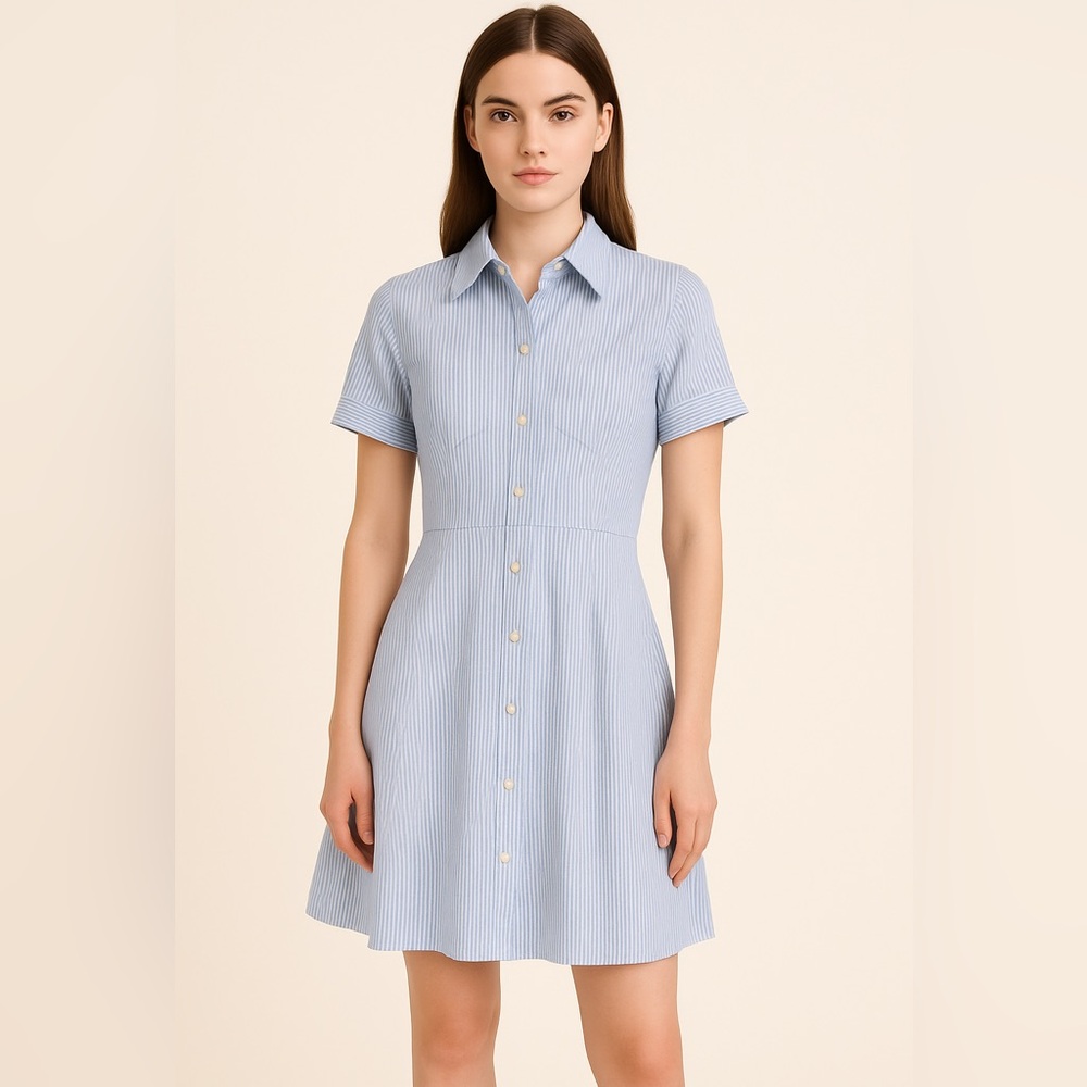 Club Monaco Blue Striped Midi Dress